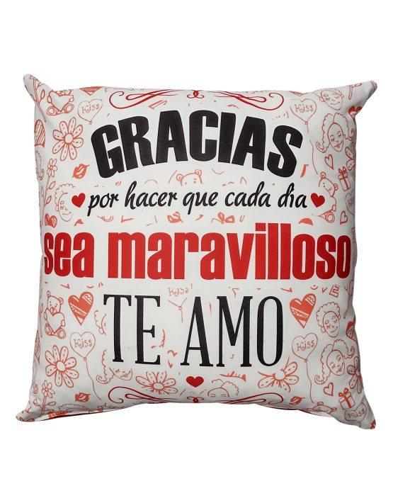 cojin cuadrado maravilloso
